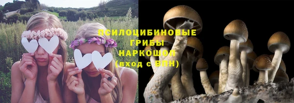 стаф Алексеевка