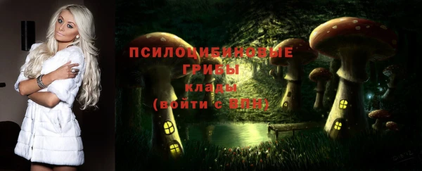 стаф Алексеевка