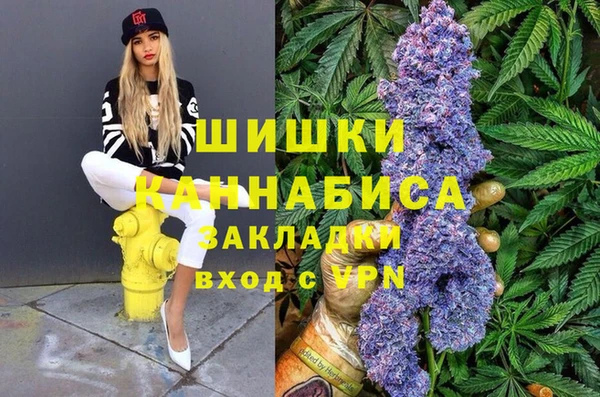 ешки Алексин