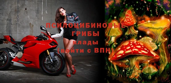 амф Дедовск
