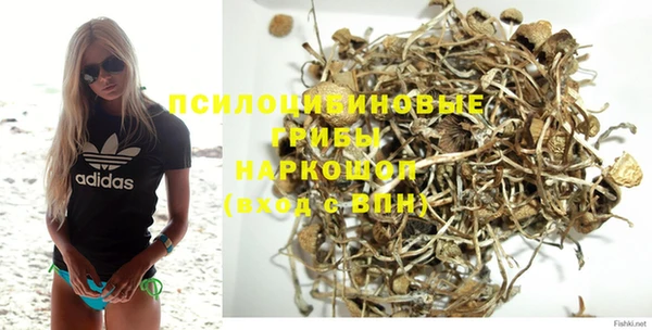 ешки Алексин