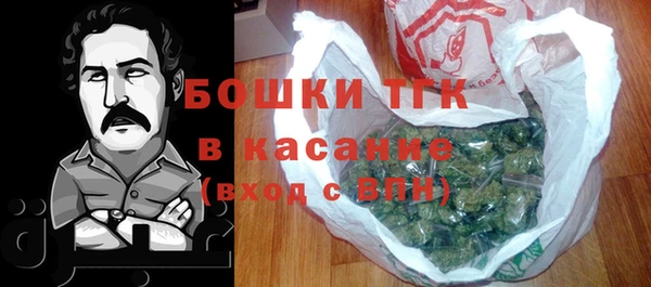 ешки Алексин
