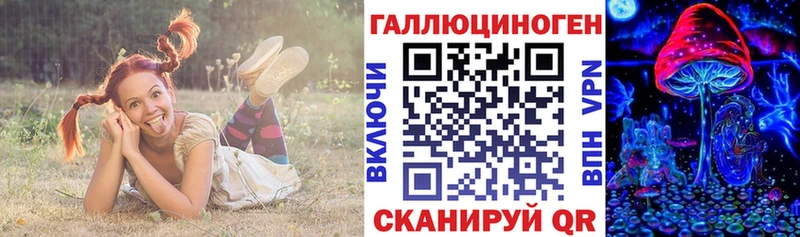 площадка как зайти  Ахтубинск  Галлюциногенные грибы прущие грибы 