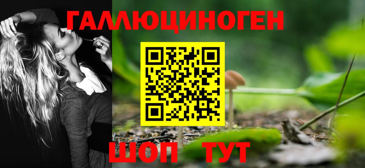 Псилоцибиновые грибы MAGIC MUSHROOMS Ахтубинск